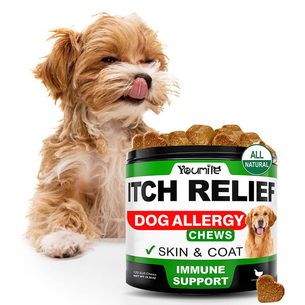 Allergy Relief Soft Chews for Dogs - Soothing Itching and Enhancing Immune Support