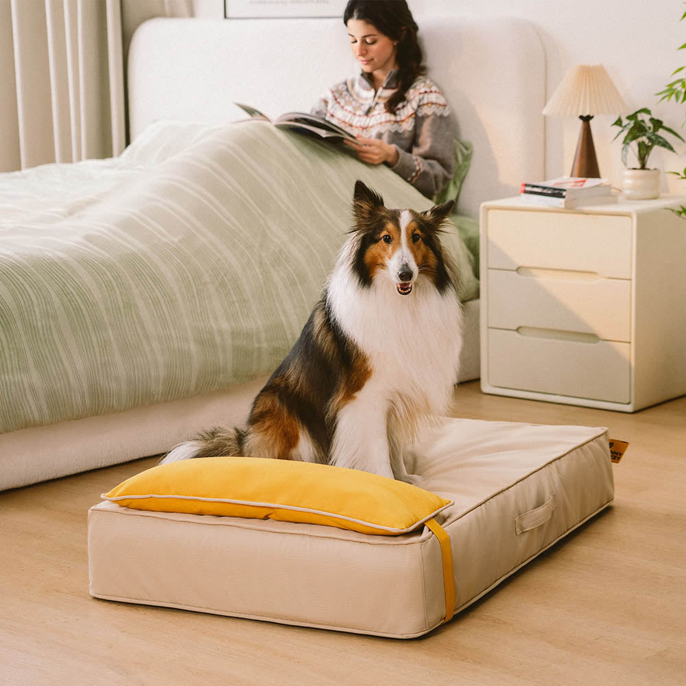 Colorblock Waterproof Removable Dog Bed Cover and Pillow Set - Everdream