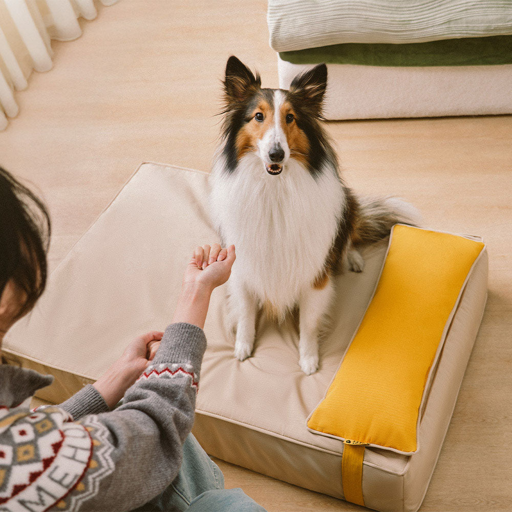 Colorblock Waterproof Removable Dog Bed Cover and Pillow Set - Everdream