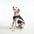 Cooling Ice Silk Striped Colored Breathable Dog Cooling Vest