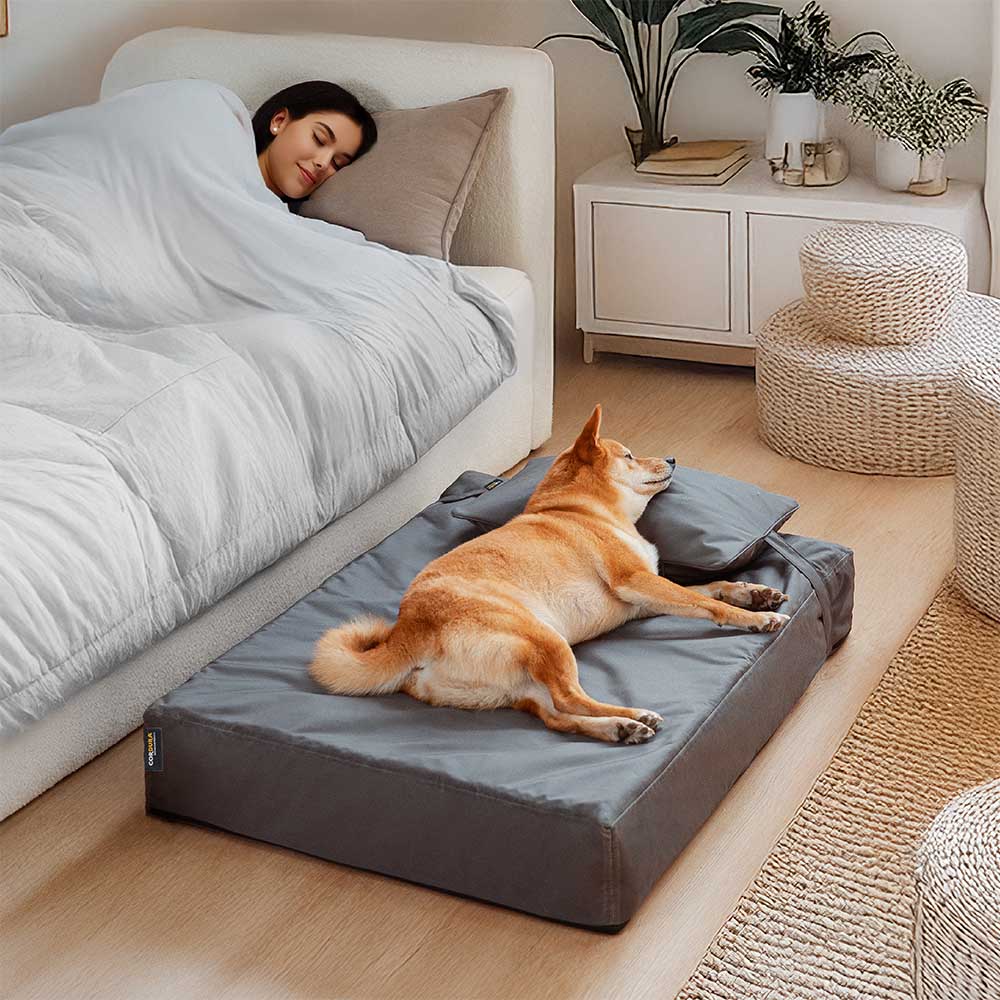 CorduraTech Waterproof Anti-Scratch Dog Bed Cover Or Pillow Set - EverShield