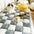Garden Chic Cotton Protective Couch Cover