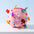 Cute Embroidered Squeaky Ball Interactive Dog Toys