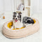 Dog Bed - Donut