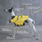 Dog Life Jacket - Lifeguard