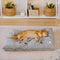 Dual-Sided Cozy Plush Washable Calming Dog Mat