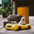 Classic Convertible Race Car Bolster Pet Bed - Fast＆Fur