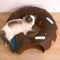 Donut-Shaped Felt Play Tunnel for Cats – Fun and Cozy Cat Tunnel
