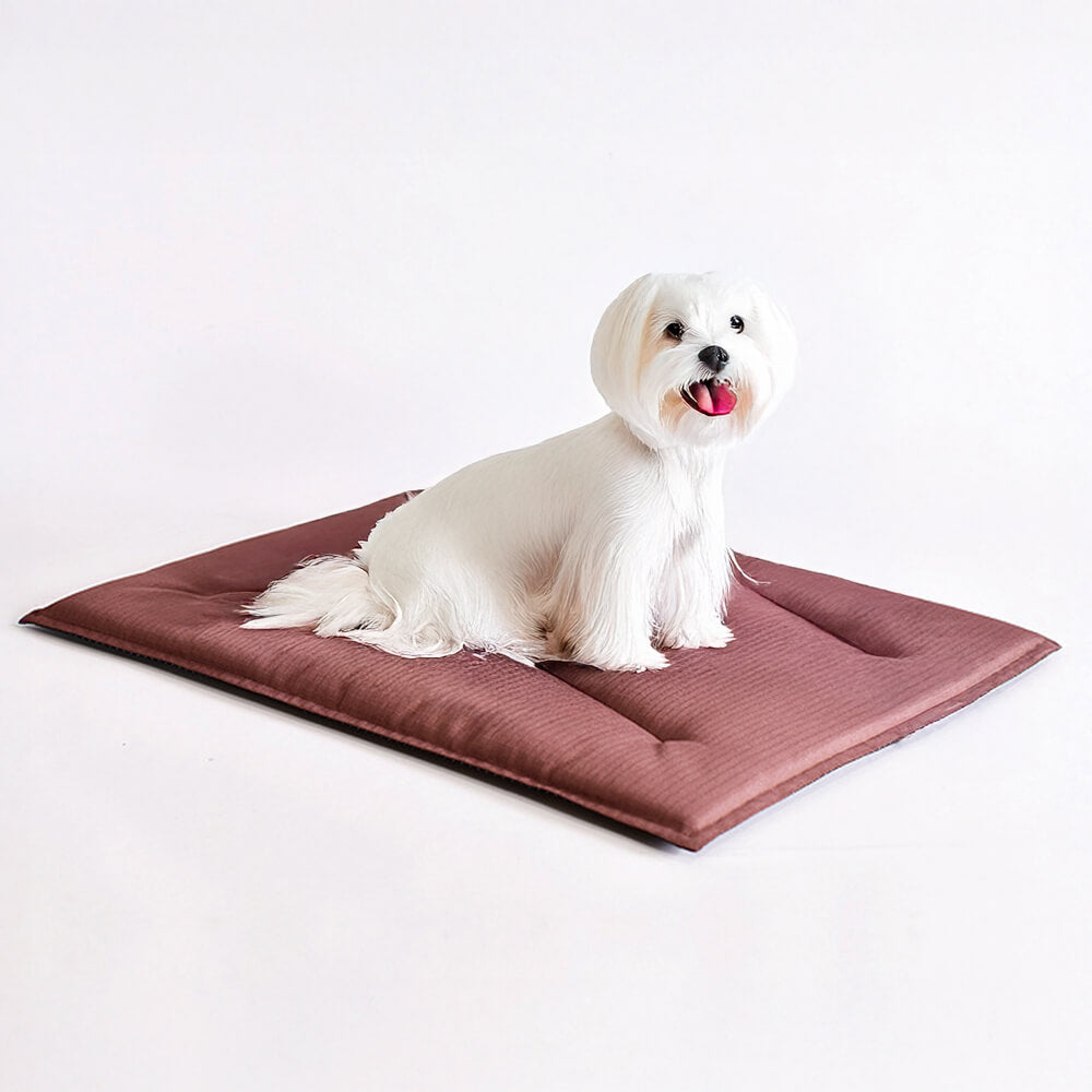 Durable Scratch-Resistant Oxford Fabric Anti-Tear Dog Mat