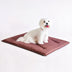 Durable Scratch-Resistant Oxford Fabric Anti-Tear Dog Mat