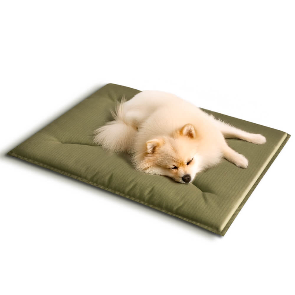 Durable Scratch-Resistant Oxford Fabric Anti-Tear Dog Mat