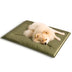 Durable Scratch-Resistant Oxford Fabric Anti-Tear Dog Mat