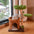 Forest-Inspired Tree Hollow Cat Cave Solid Wood Cat Tree