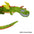 Interactive Crinkle Dragon Tug Toy for Dogs – Squeaky Chew & Pull Dog Toy