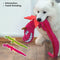 Interactive Crinkle Dragon Tug Toy for Dogs – Squeaky Chew & Pull Dog Toy
