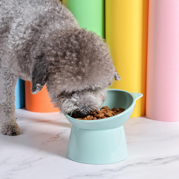 Nordic Style Elevated Anti-Choke Anti-Spill Slanted Feeding Cat & Dog Bowl
