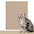 Self-Adhesive Flocked Anti-Scratch Cat Climbing Wall Scratching Board