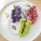 Soft and Interactive Grape Shaped Squeaky Dog Toy