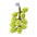 Soft and Interactive Grape Shaped Squeaky Dog Toy