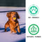 Tennis Ball Dog Toy - Squeaky & Bounce