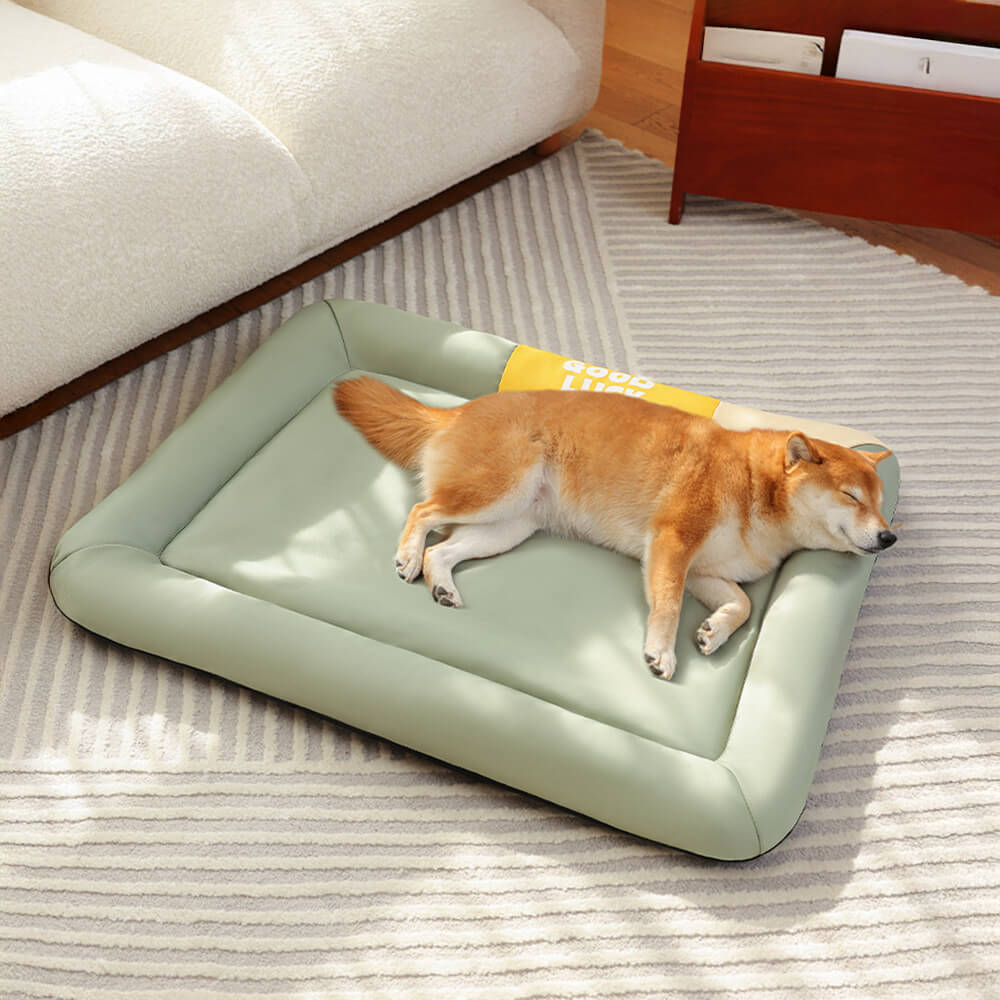 Colorblock Waterproof Scratch-Resistant All-Season Dog Mat