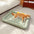 Colorblock Waterproof Scratch-Resistant All-Season Dog Mat