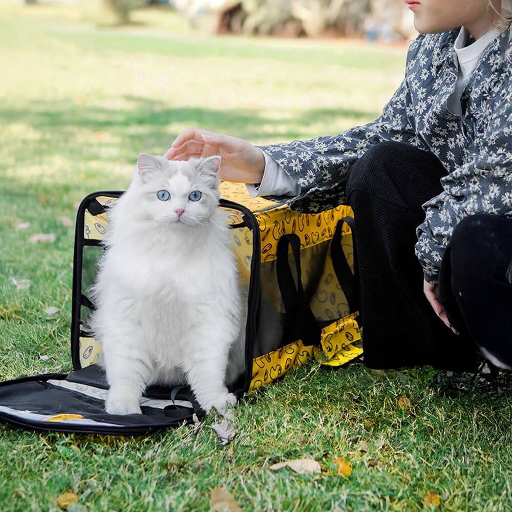 Breathable Mesh Foldable Lightweight Travel Dog & Cat Carrier Bag