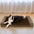 Faux Fleece & Suede Full Support Orthopedic Dog Bed
