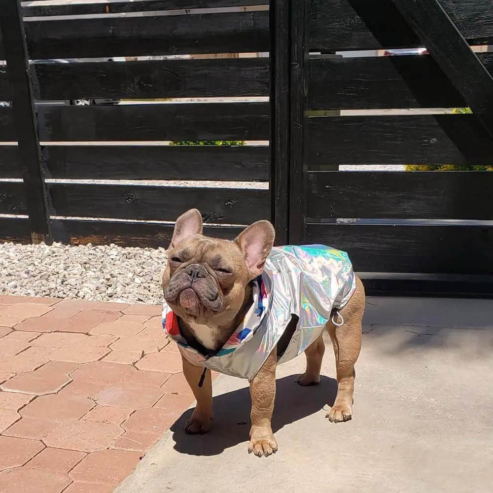 Reversible Waterproof Dog Rain Coats - Graffiti & Iridescent