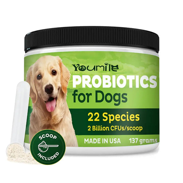 22-Species Probiotics for Dogs – Digestive Health & Antibiotics Recovery Support