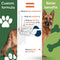 22-Species Probiotics for Dogs – Digestive Health & Antibiotics Recovery Support