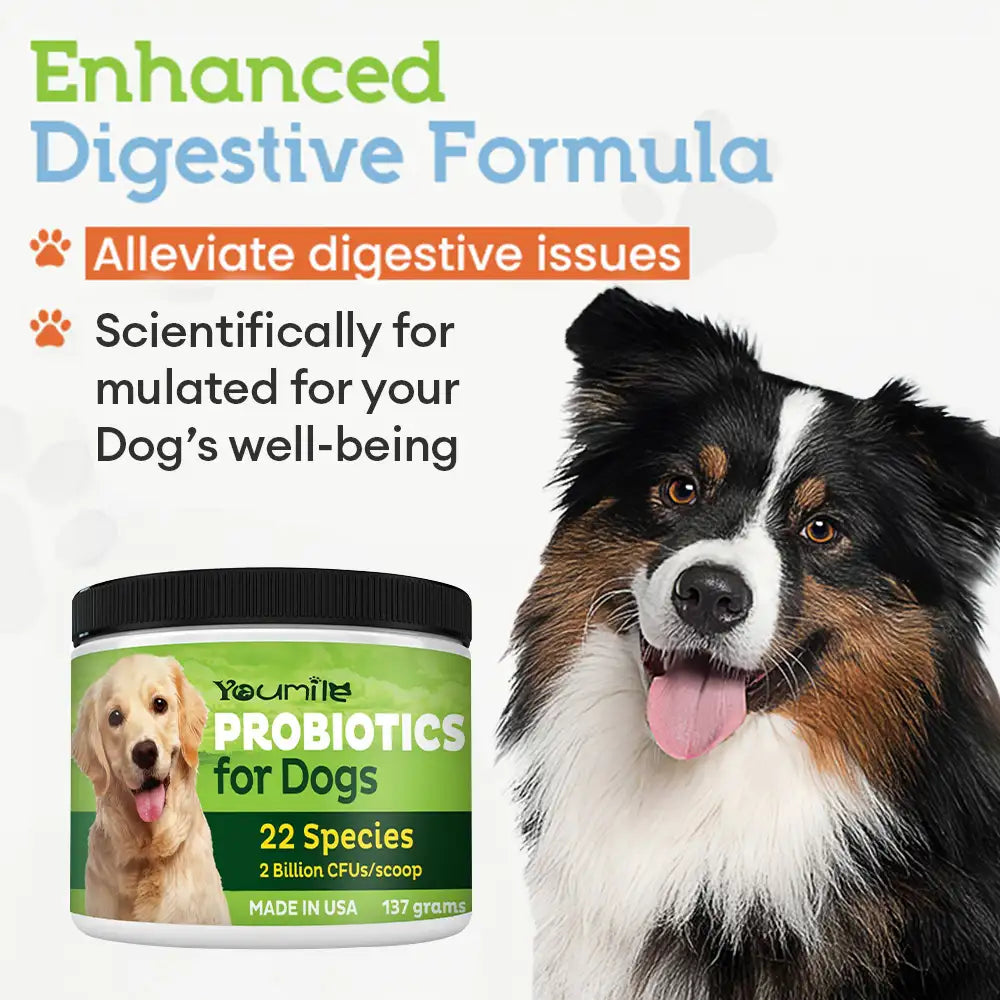 22-Species Probiotics for Dogs – Digestive Health & Antibiotics Recovery Support