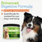 22-Species Probiotics for Dogs – Digestive Health & Antibiotics Recovery Support
