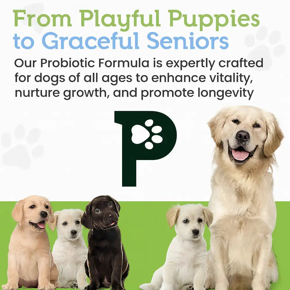 22-Species Probiotics for Dogs – Digestive Health & Antibiotics Recovery Support