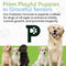 22-Species Probiotics for Dogs – Digestive Health & Antibiotics Recovery Support