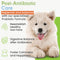 22-Species Probiotics for Dogs – Digestive Health & Antibiotics Recovery Support