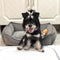 All-Season Cozy Durable Corduroy Dog Sofa Bed for Small & Medium Dogs