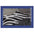 Animal Print Anti-Stain Non-Slip Front Door Mat for Muddy Dog Paws