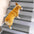Anti-scratch Faux Sisal Stair Protectors Tape Free Washable Carpet Stair Treads