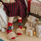 Christmas Santa Claus Knitted Scarf Matching Socks For Pet And Owner
