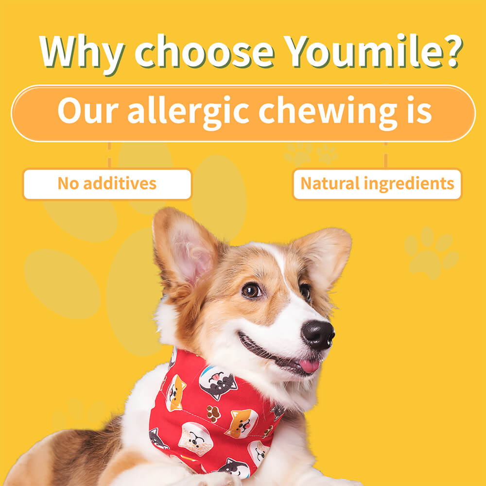 Dog Allergy Relief Chews for Itchy Skin, Seasonal Allergies & Immune Support - 120 Count
