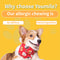Dog Allergy Relief Chews for Itchy Skin, Seasonal Allergies & Immune Support - 120 Count
