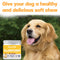 Dog Allergy Relief Chews for Itchy Skin, Seasonal Allergies & Immune Support - 120 Count