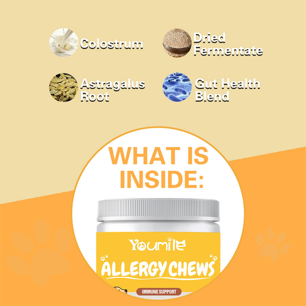 Dog Allergy Relief Chews for Itchy Skin, Seasonal Allergies & Immune Support - 120 Count