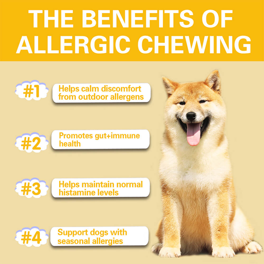 Dog Allergy Relief Chews for Itchy Skin, Seasonal Allergies & Immune Support - 120 Count