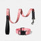 Fashion Print Nylon Lightweight Dog Collar Leash Walking Set