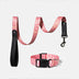 Fashion Print Nylon Lightweight Dog Collar Leash Walking Set