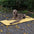 Foldable Waterproof Portable Dog Car Seat Mat Dog Camping Mat
