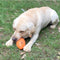 Football-Shaped Dog Chew Toy Hidden Treats Interactive Toy