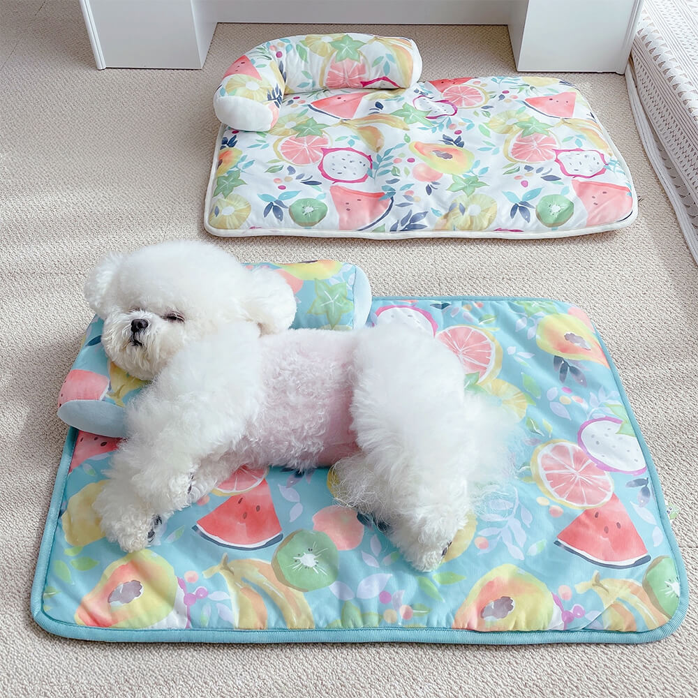 Fruit Print Cooling Ice Silk Dog & Cat Mat with Pillow